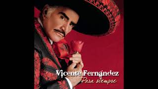 Vicente Fernández  Hermoso Cariño [upl. by Neelear]