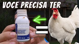 VITAMINA BOMBA PARA A SAÚDE DAS SUAS AVES ACABA COM A PERNA BAMBA PEITO SECO E OUTROS PROBLEMAS [upl. by Anev]