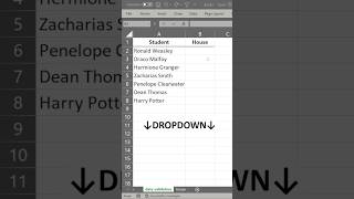 DropDown List in Excel exceltutorial exceltech exceltips exceltricks [upl. by Yeleak599]