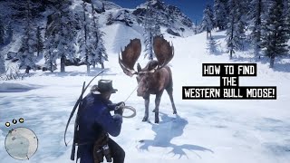 GUARANTEED way TO FIND and hunt the THREE STAR Western Bull Moose  Red Dead Redemtion 2 [upl. by Bushey549]