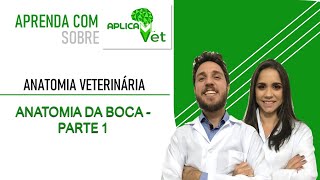 Anatomia Veterinária  Anatomia da Boca  Parte 1 [upl. by Karrie646]