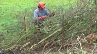 Lancashire and Westmoreland Hedgelaying [upl. by Namruht67]