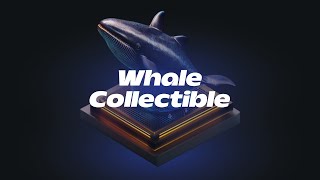 Swim with the Whales Understanding Cryptos Big Players [upl. by Nowad]