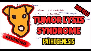 TUMOR LYSIS SYNDROME PATHOGENESIS and TREATMENT  with USMLE question example [upl. by Trebeh452]