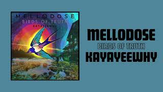 Mellodose x KayAyeeWhy  “Birds of Truth” [upl. by Dorion697]