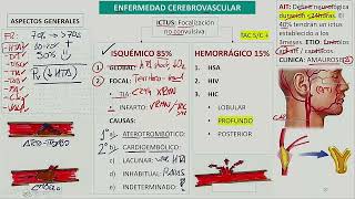 Neurología  Enfermedad cerebrovascular [upl. by Canotas]