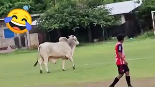 FOOTBALL FUNNY MOMENT SKILLS FAILS amp GOALS COMPILATION [upl. by Hershel]