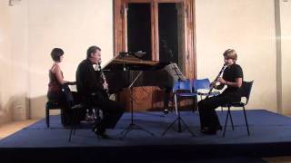 B H Crusell  Andante and Allegro Vivace for two Clarinets and Piano [upl. by Market]