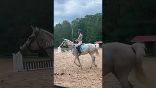 fypシ゚viral horsie breezy riding fyp horses [upl. by Vachel]