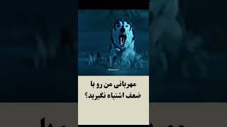 آوای وحش، The Call of the Wild جک لندن، یک فیلم ماجراجویانه‌ی تاثیرگذار و مهیج از آب در آمده است [upl. by Dronski]