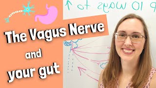 The Vagus Nerve and your gut [upl. by Natassia]