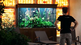 The 1200 Liter Masterpiece with ANGELFISH  Monday Maintenance Movies [upl. by Lee]