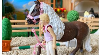 Schleich Pferde Videos 🐎  alle unsere Videos [upl. by Anifares]