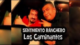 LOS CAMINANTES MIX RANCHERAS [upl. by Hestia]