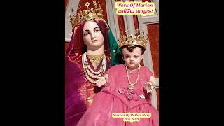 மரியே வாழ்க வாழ்த்தொலி  அல்லேலூயா  Praise The Lord  23102024  Work of Marian  Alleluiah [upl. by Grani]