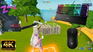 🌟 Apex Pro TKL Fortnite ASMR Speed Realistics Gameplay [upl. by Suoiradal]