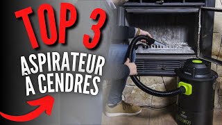 Meilleur Aspirateur à Cendres 2024 [upl. by Konstantin]