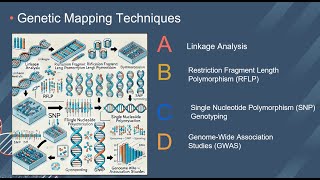 ECOM 6349  Student Participations  Genetic Mapping [upl. by Lhok380]