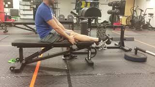 Tibialis Raise with Band or Kettlebell [upl. by Herzog808]