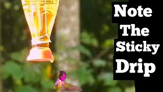 RISKY Hummingbird Feeder SEE How to Feed Hummingbirds Safe Attract Birds Hummingbird Food Recipe [upl. by Faludi923]