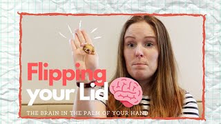 Flipping Your Lid The Brain in the Palm of your Hand [upl. by Feldt191]