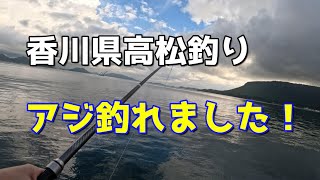 香川県高松 アジ釣れました！ [upl. by Melquist]