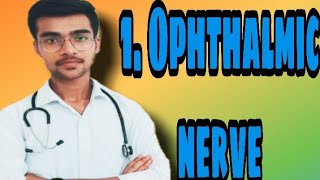 1 Ophthalmic nerve  Trigeminal part2  by Aniket tyagi [upl. by Collum]