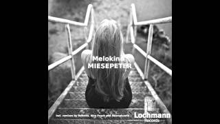 Melokind  Miesepeter Nico Pusch Remix Lochmann Records [upl. by Florenza177]