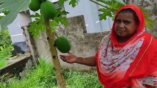 চোরের ভয়ে গাছের সব পেঁপে ছিঁড়ে ফেললাম  Doyel Agro [upl. by Anayik]