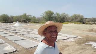 DE RUTA X LA COSTA CHICA  PRODUCCIÓN DE SAL EN OJO DE AGUA LAS SALINAS [upl. by Einna]