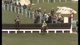 Bregawn The 1983 Cheltenham Gold Cup [upl. by Anbul948]