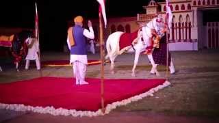 JAIPUR FESTIVAL DU CHEVAL QUI DANSE INDIA 2014 RAJASTHAN [upl. by Gwenni118]