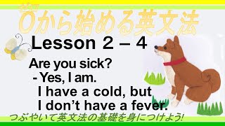 【０から始める英文法】Lesson24 体調・気持ちを表す語＆病気を表す語 ＋ 接続詞but（too either の復習も！） [upl. by Ynohtna]