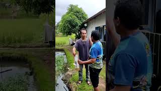 mang iwa masuk angin video ngakak lucu comedyterbaru comedyngakak comedy [upl. by Ytinirt588]