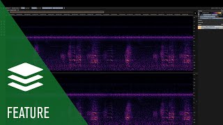 Clone Stamp and Eraser Tool  Spectralayers Pro 7 Tutorials [upl. by Iclehc]