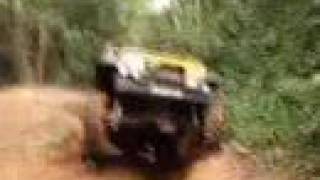 Troller Teteco amp Jeep CJ Dick [upl. by Aihsram]