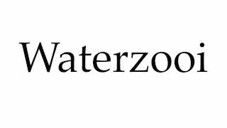 How to Pronounce Waterzooi [upl. by Aleakam701]