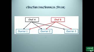 Economie Lorganisation des entreprises [upl. by Encratia]