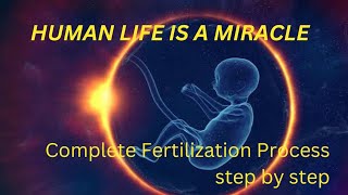 quotThe Miracle of Lifequot  Human Fertilization Unveiled  September 6 2023 [upl. by Haodnanehs]