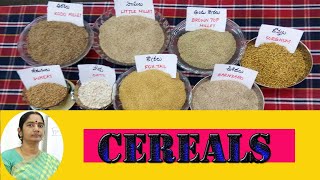 CEREALS [upl. by Leanard]