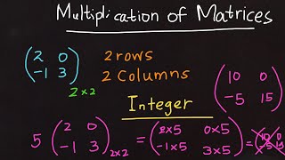 MATRICES 📍 ✖️ Multiplication Matrix with an INTEGER  Order of Matrix  MATRIX 9️⃣ [upl. by Eliades]