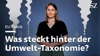 UmweltTaxonomie der EUKommission Nachhaltige Atomkraft soziale Rüstungsindustrie [upl. by Loren]