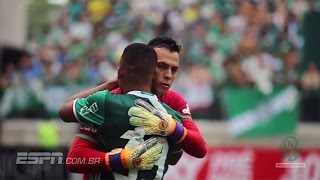 Palmeiras faz linda homenagem a Chapecoense  Assista [upl. by Eikram]