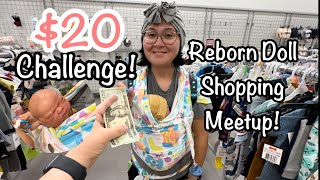 Reborn Baby 20 Shopping Challenge Meetup And Haul [upl. by Fantasia]