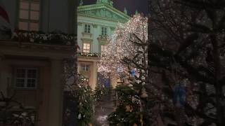 Christmas markets in Bratislava Slovakia 🇸🇰  Winter in Bratislava shorts bratislava [upl. by Yvan101]