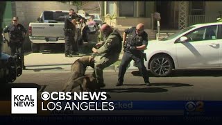 Caught On Video Police K9 Attacked By Pit Bull In Anaheim [upl. by Miguela]