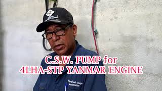 4LHASTP YANMAR CSW PUMP OVER HAULReplace impeller [upl. by Platon383]