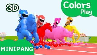 Learn colors with Miniforce  Colors Play  Color Running  Animal Color Race  MiniPang TV 3D Play [upl. by Mellisa]