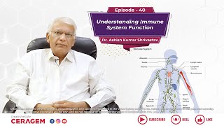 Understanding Immune System Function  Episode 40  Dr Ashish Kumar Shrivastav [upl. by Nella209]