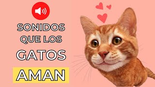 Sonidos que los Gatos Aman 😻 Sonidos para Atraer a tu Gato [upl. by Ahsenom]